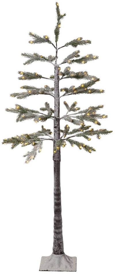 Star Trading decoratieve dennenboom, M LED spar, decoratieve boom met sneeuw, 155 LED's, buiten, warm wit, H 150 cm