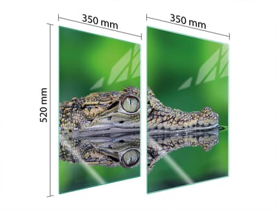 TMK ArtDeko Serie - Beschermende Glazen Plaat - 2x35x52 cm - Veilig en Hygiënisch - UV Print