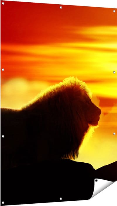 Gards Tuinposter Leeuw en Tijger - Silhouet - Zonsopkomst - 100x150 cm - Tuindoek - Tuindecoratie - Wanddecoratie buiten - Tuinschilderij