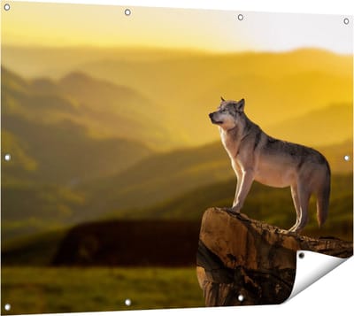 Gards Tuinposter Wolf op een Rots met een Heuvel Landschap - 120x90 cm - Tuindoek - Tuindecoratie - Wanddecoratie buiten - Tuinschilderij