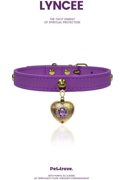 Halsband Pettrove Suede Goud Paars Hart