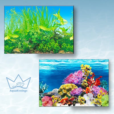 AquaKonings Aquarium Poster – Waterdicht - Decoratie Vis Poster - Aquarium Decoratie - Aquarium Wand - 200x50 cm - O