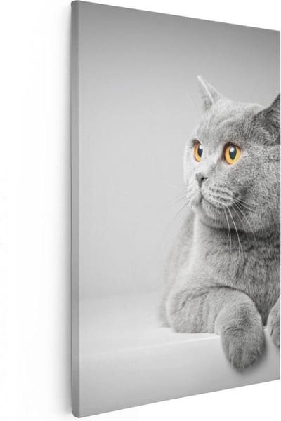 Artaza Canvas Schilderij Britse Kortharige Kat - 20x30 cm - Klein - Muurdecoratie Dierenkop - Wanddecoratie Woonkamer - Kamer Accessoires
