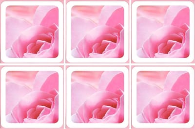 6 Wenskaarten met envelop - Vierkant - Blanco - Bloemen - Gekleurde envelop - 16 x 16 cm