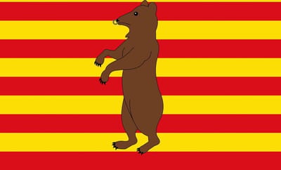 Vlag Beringen 100x150cm