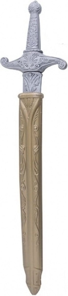 Carnaval verkleed Ridder zwaard - zilver/goud - 60 cm - kinderen/volwassenen - kunststof