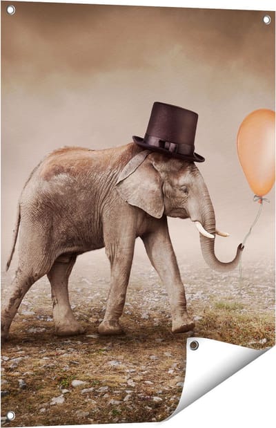 Gards Tuinposter Olifant met een Oranje Ballon - Hoedje - 60x80 cm - Tuindoek - Tuindecoratie - Wanddecoratie buiten - Tuinschilderij
