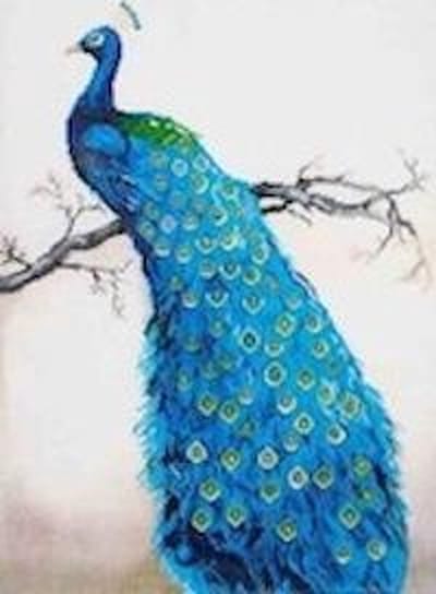 Diamond painting Diamanten Facetkunst Pauw (40x50 cm) - Diamond Painting Pakket