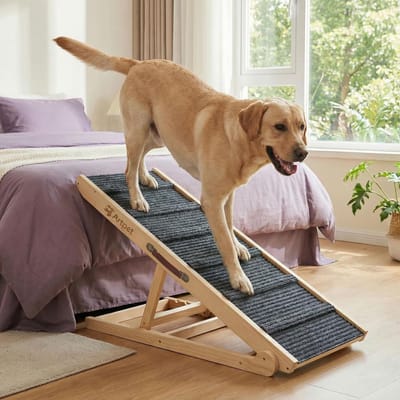 Honden Opstapje - Hondenladder Bed Bank - Gewrichtsondersteuning - Extra Breed Stabiel - 60x45x60cm - Grijs