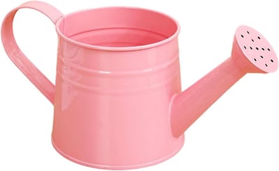 Kleine gieter - Decoratieve waterkan - Planten water geven - Met tuit en handvat - 10 x 10 cm - Roze