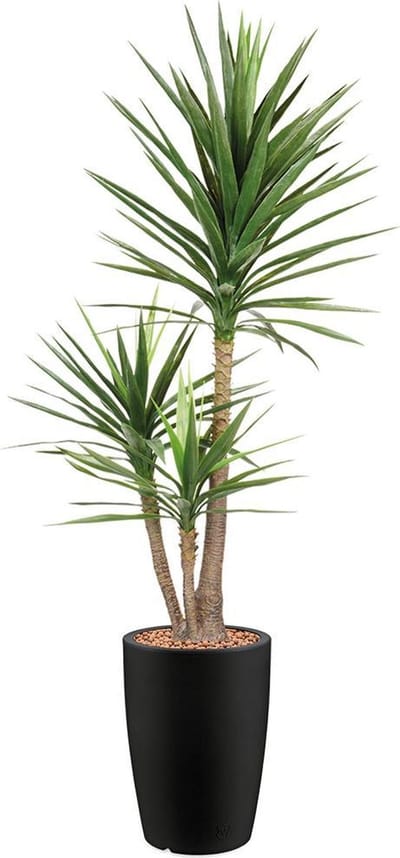 Kunstplant Yucca in Genesis rond antraciet H200 cm - HTT Decorations kunstplanten