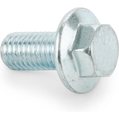 Screw
