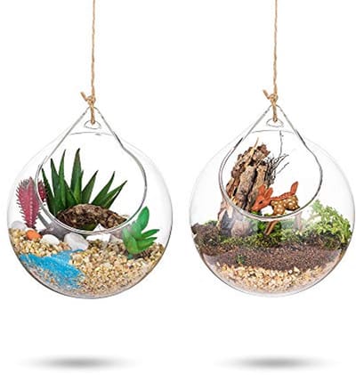 Solidchoice - Set van 2 Hangende Glazen Terrarium Bollen