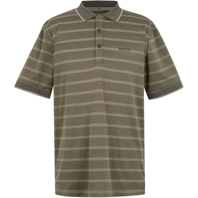Regatta T-shirt Korte Mouwen Hiking Heren Striped Pattern