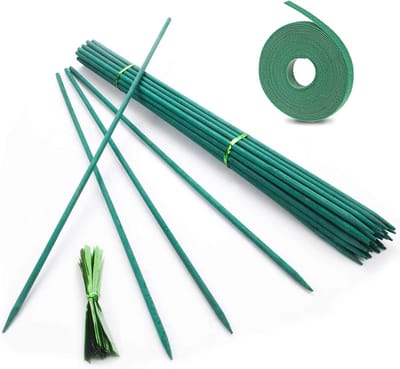 Famanu – Bamboe plantenstaven, 50 stuks, 45 cm, bloemenstokken met metalen bindbanden voor huis en tuin