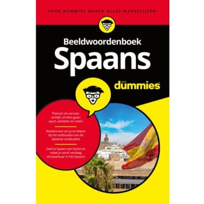 Beeldwoordenboek Spaans Voor Dummies - Voor Dummies