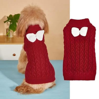 Huisdier Pullover Hoge Kraag Trui Effen Krokantjes Trui Strik Gebreid Veelkleurig Comfortabel Herfst Winter Kerst Huisdier XL