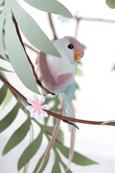 6 BIRDS LOVE STORY