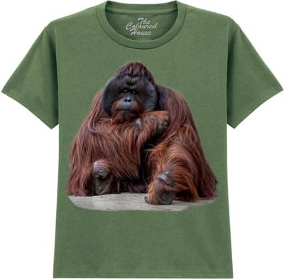 KIDS Wisdom Beyond Words - Orangutan The Coloured House KIDS T-shirt L