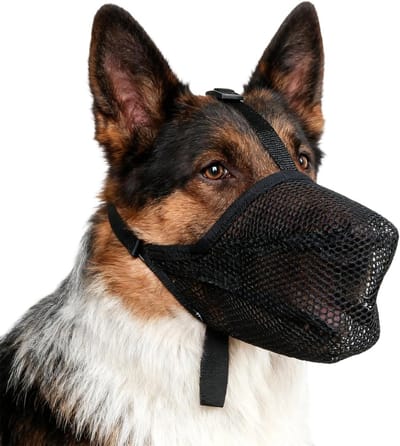 Ademend Hondenmuilkorf XL, Zwart, Verstelbare Mondlus, Bescherming tegen Vergif, Geschikt voor Middelgrote en Grote Honden