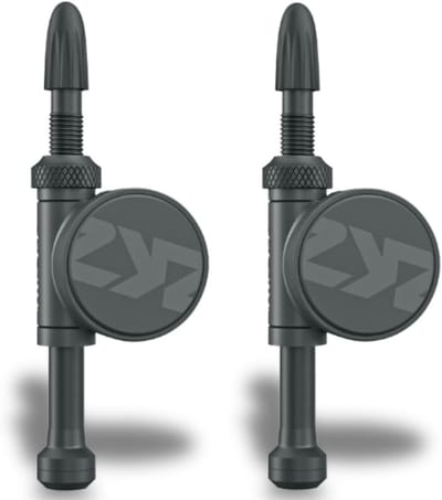 Bandenspanningssensor - Tubeless Ventiel - Real-time Meting - Geïntegreerd Aluminiumventiel - 67 mm - Zwart