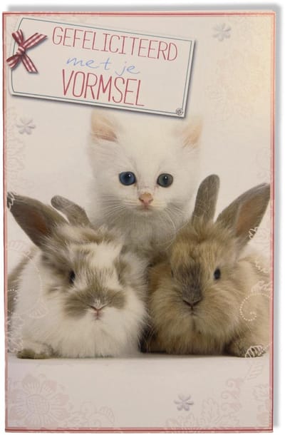 Vormsel Wenskaart Schattige Dieren - 12x17cm - Gevouwen kaart inclusief envelop - Heilig Vormselkaart