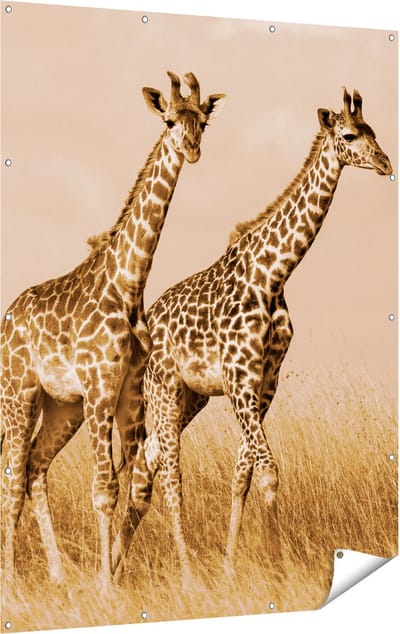 Gards Tuinposter Twee Giraffes in het Veld - 120x160 cm - Tuindoek - Tuindecoratie - Wanddecoratie buiten - Tuinschilderij