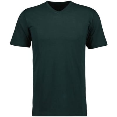 Ragman T-Shirt Uni V-Neck Single Jersey Donker Groen / male