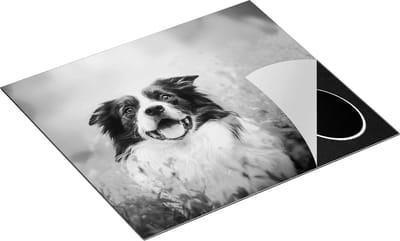 Chefcare Inductie Beschermer Blije Hond tussen de Bloemen - Zwart Wit - 60x50 cm - Afdekplaat Inductie - Kookplaat Beschermer - Inductie Mat
