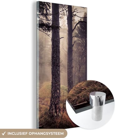 MuchoWow® Glasschilderij 20x40 cm - Schilderij acrylglas - Mist - Herfst decoratie - Natuur - Bos - Foto op glas - Schilderijen