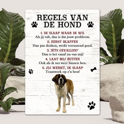 Spreuken - Sint Bernard (langhaar) - Regels Van De Hond - Spreuken Bordjes - Spreukenbord - Tekstborden - Cadeau - Hondenras