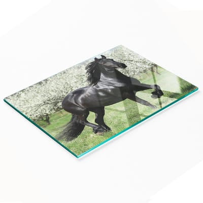 Multifunctionele decoratieve glazen snijplank voor in de keuken met paarden en bloemen, 80x52 cm