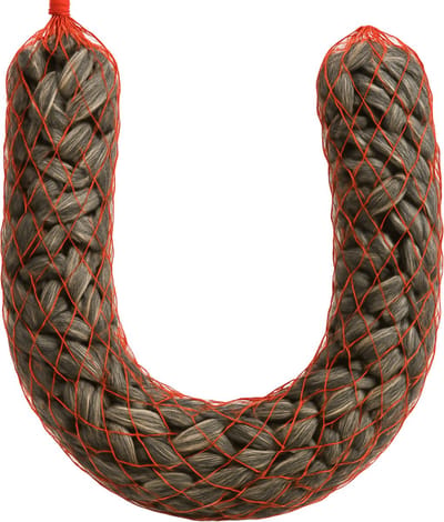 Animalking Zonnebloempitten voor Vogels - Vogelvoer - Buitenvogels - 500 Gram 4 Stuks 75 CM