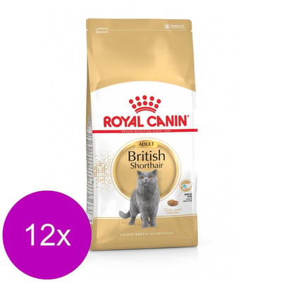 Royal Canin British Shorthair Adult - Kattenvoer - 12 x 400 g