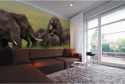 Fotobehang Tansania DD100655 A.S. Création XXL World Trip | Fotobehang online webshop