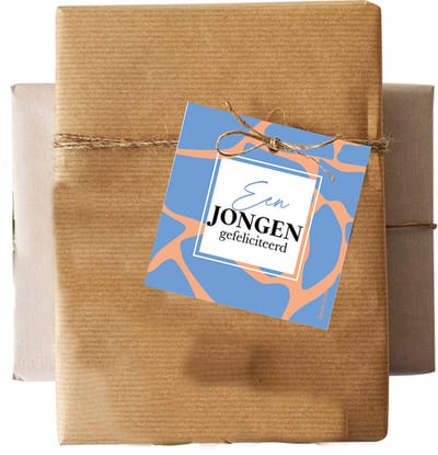 Set 5 kadokaartjes klein – baby - geboorte - jongen - boy - Wildcards