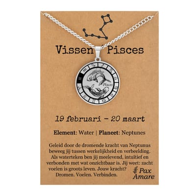 Vissen / Pisces Sterrenbeeld Ketting op Cadeau Kaartje - Zilverkleurig - RVS - Spiritueel Cadeau - 60cm - Pax Amare