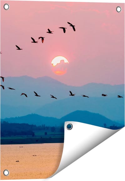 Gards Tuinposter Silhouet van Zwerm Vogels bij Zonsondergang - 40x50 cm - Tuindoek - Tuindecoratie - Wanddecoratie buiten - Tuinschilderij