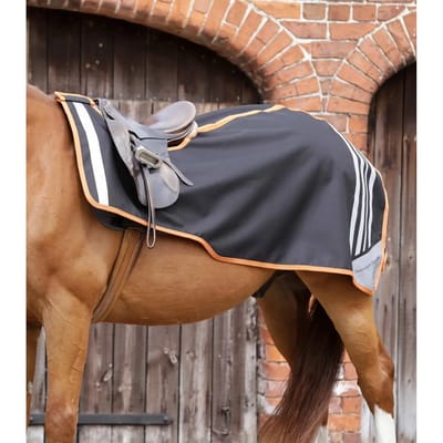 Nierbekleding voor paarden Premier Equine Stratus