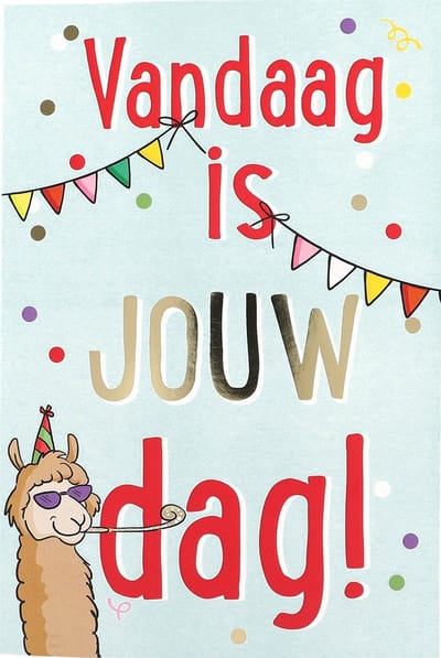 Depesche cadeau boekje vandaag is jouw dag! kleurrijk verrassing.