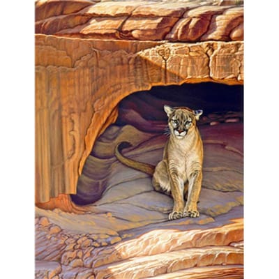 Frame Dieren Diy Digitaal Schilderen Handgeschilderd olieverfschilderij op canvas voor thuismuurkunst 20X30CM black