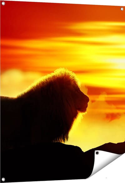 Gards Tuinposter Leeuw en Tijger - Silhouet - Zonsopkomst - 80x100 cm - Tuindoek - Tuindecoratie - Wanddecoratie buiten - Tuinschilderij