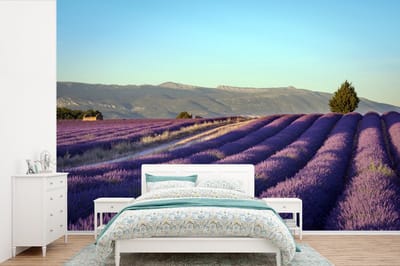 Behang - Fotobehang Lavendel veld in Provence - Breedte 420 cm x hoogte 280 cm