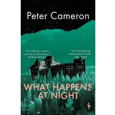What Happens At Night - Peter Cameron