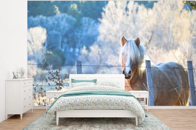 Behang - Fotobehang Paard - Winter - Sneeuw - Breedte 295 cm x hoogte 220 cm