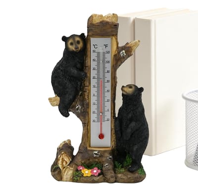 Buitenthermometer Dubbele - Binnen Temperatuur Monitor - Tuin Balkon Garage - Nauwkeurige Dubbele Weergave