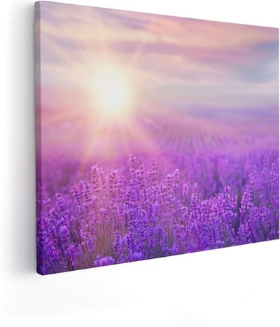 Artaza Canvas Schilderij Lavendel - 50x40 cm - Wanddecoratie Bloemenveld - Muurdecoratie Natuur - Schilderijen Op Canvas