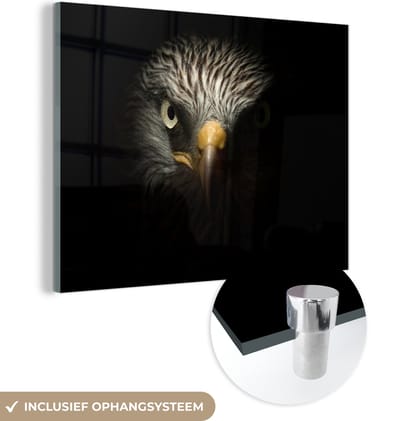 MuchoWow® Glasschilderij 160x120 cm - Schilderij acrylglas - Vogel - Adelaar - Roofvogels - Oog - Snavel - Licht - Foto op glas - Schilderijen