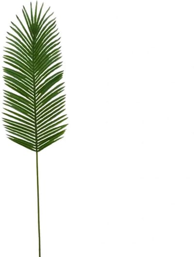 Palmblad 150 cm kunsttak Buitengewoon de Boet
