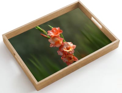 Dienblad hout 50x35 cm - Schootdienblad - Bloem - Gladiolen - Zalmroze - Borrelplank rechthoek - Plateau dienbladen